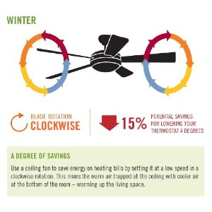 Hunter-23980-54-Inch-Provencal-Gold-Bayview-Ceiling-Fan-2